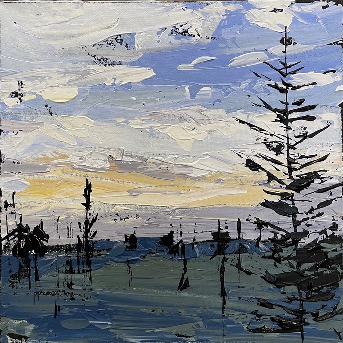 CloudySky12x129623
